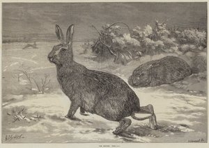 Månaderna, februari